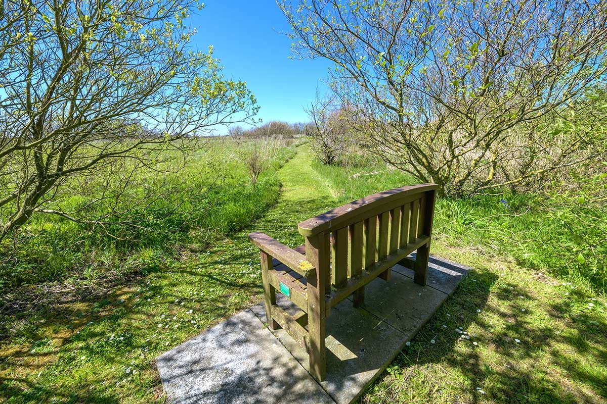 Garden path up the hill