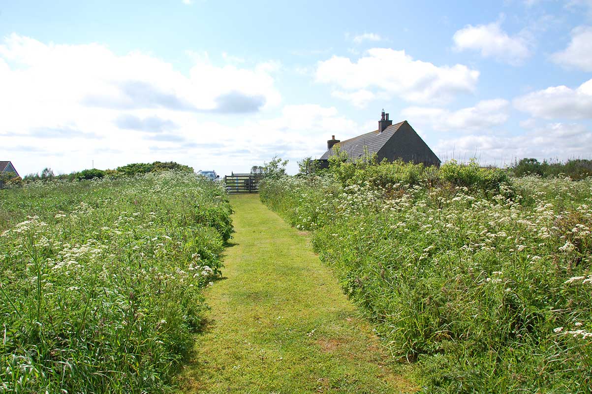 Cottage grounds