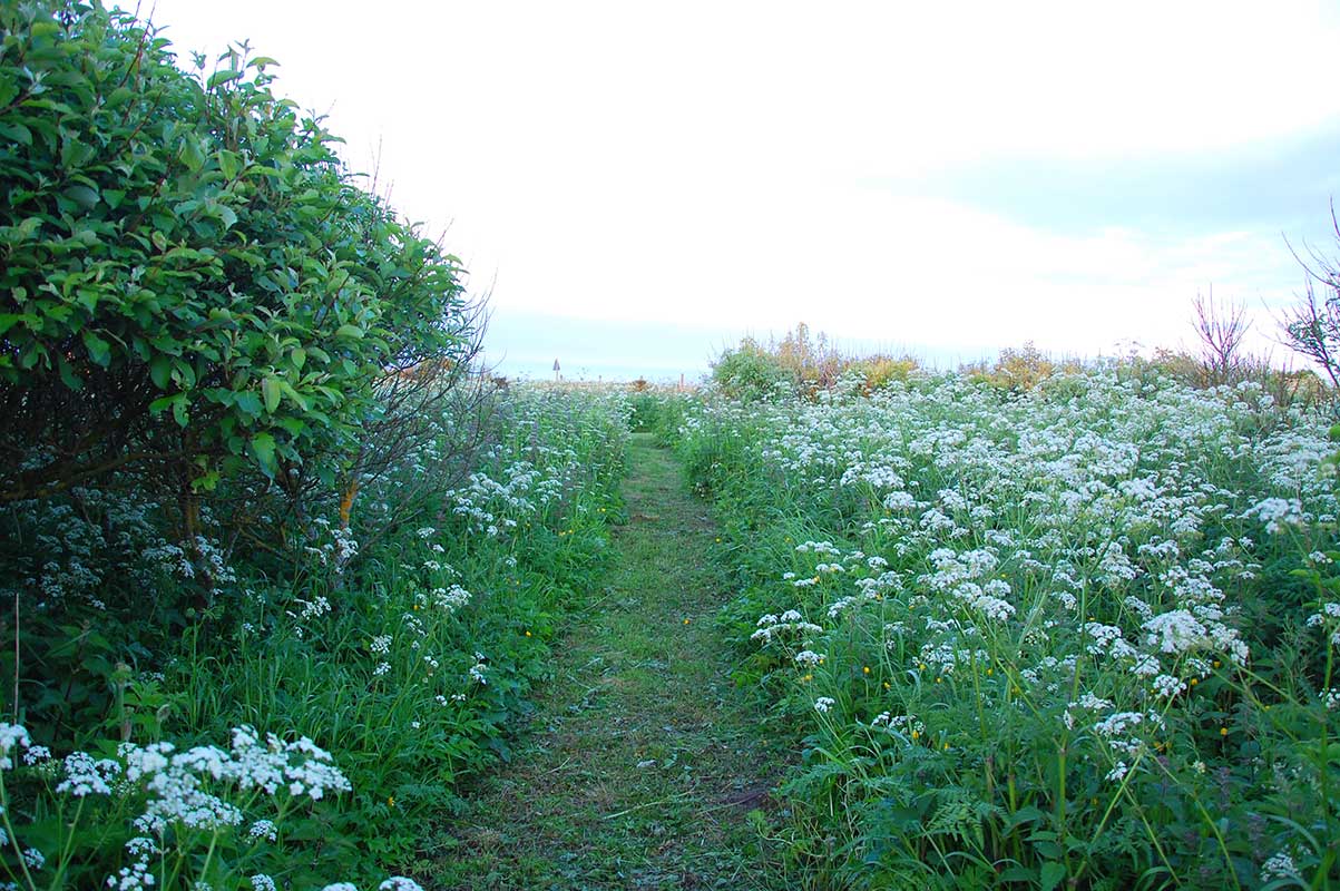 Path through the grounds