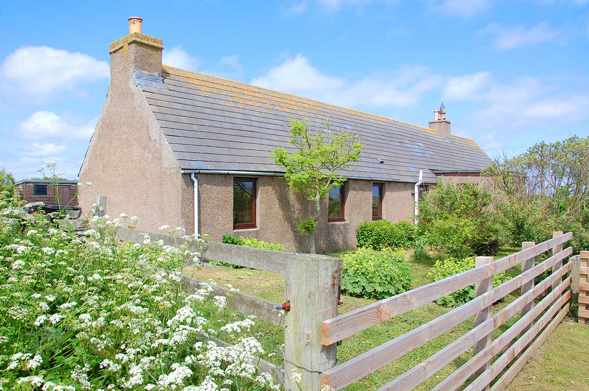 Seaview Cottage from the side with wildflowers